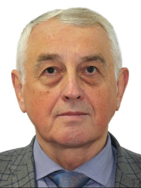 Анатолий Будко