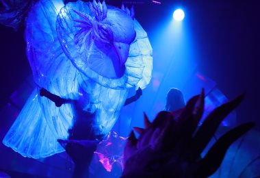 Guest Performances by the Mariupol Republican Academic Russian Drama Theatre, Awarded the Order of the Badge of Honour, at the Komissarzhevskaya Academic Drama Theatre
“The Scarlet Flower”